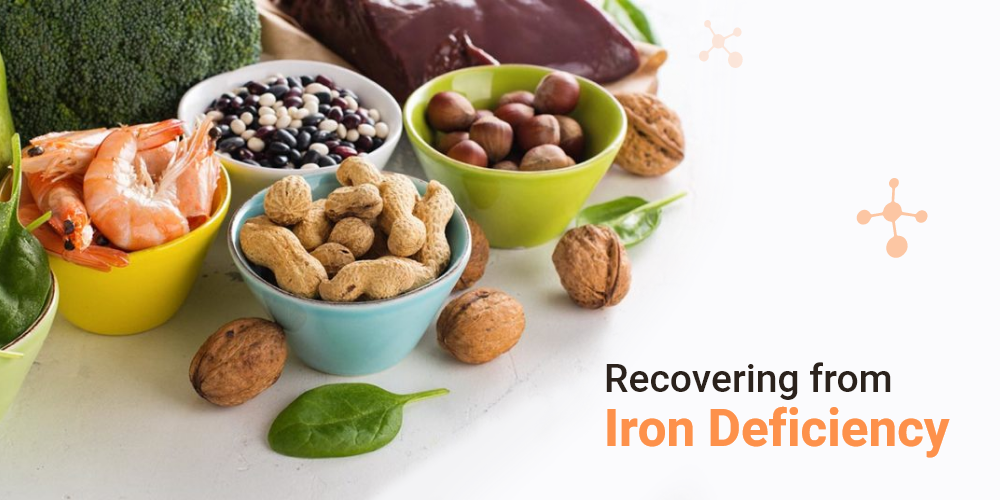 Recovering from Iron Deficiency